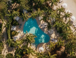 Aerial view of a turquoise, kidney-shaped swimming pool surrounded by palm trees, white umbrellas, and sandy beach, suggesting a tropical resort setting.