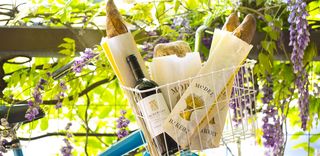 Napa Wine Tours at River Terrace Inn