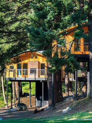 Skamania Lodge - Adventure Park