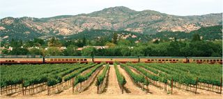 Napa Valley Wine Train Experience Exterior 2