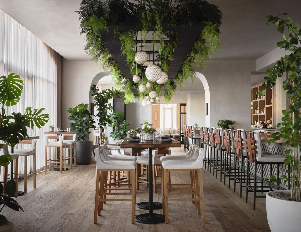 Hotel Zephyr Properties Curator Hotel & Resort Collection