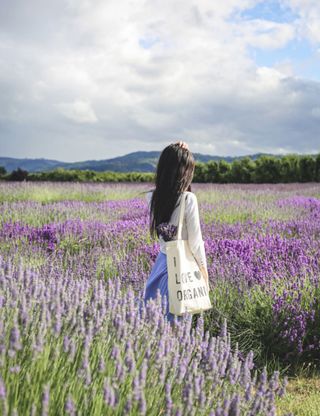 Woman at a lavender field