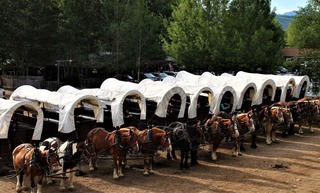 covered wagons and horses