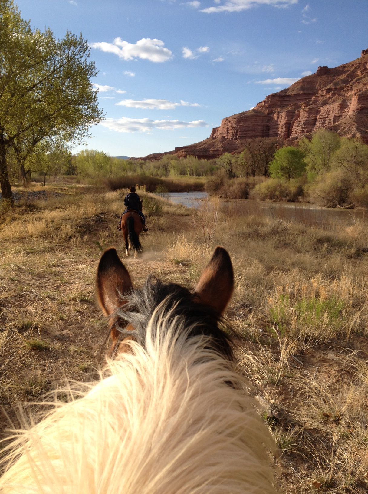 Canyon Tour Horseback Ride | Curator Hotel & Resort Collection