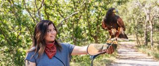 Woman with a glove holding a falcon.