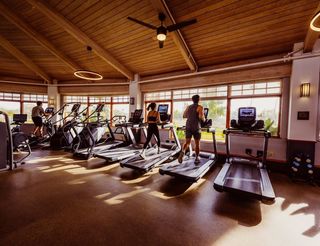 People running on treadmills in a gym filled with natural lighting and wood interior.