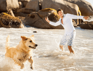 A smiling man holding a fetch stick stands in the ocean water as a golden retriever runs towards him, creating a splash.