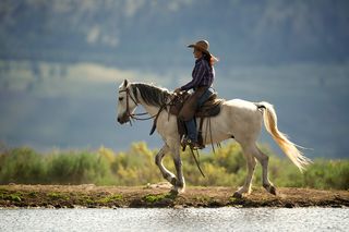 A person in a cowboy hat and chaps rides a white horse along a body of water with a blurred, natural landscape in the background.