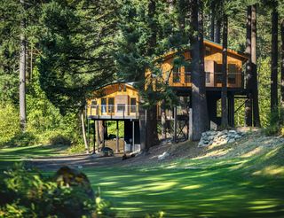 Skamania Lodge Tree Houses